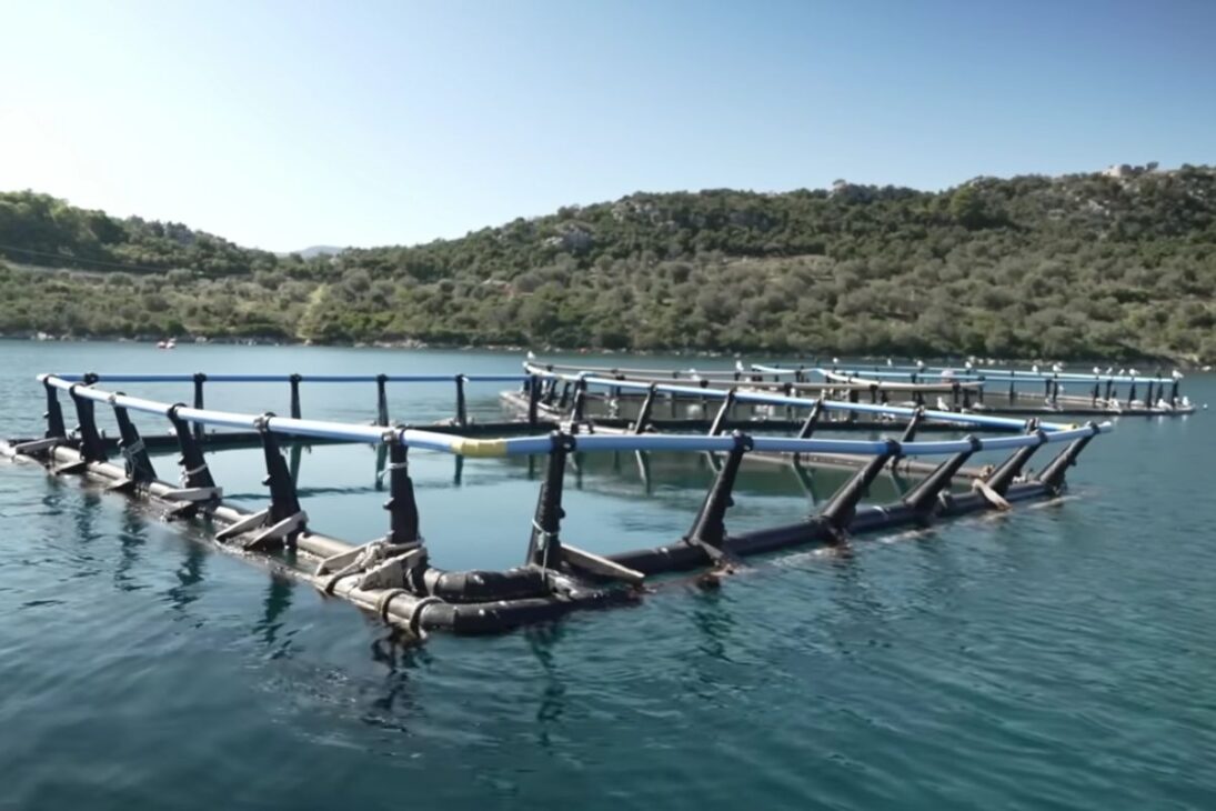 granjas fantasmas exponen cómo el plástico y el poliestireno de la acuicultura se convirtieron en microplásticos en el mar de Grecia, con fiscalización fallida, riesgos en el buceo y una limpieza lenta y cara.

