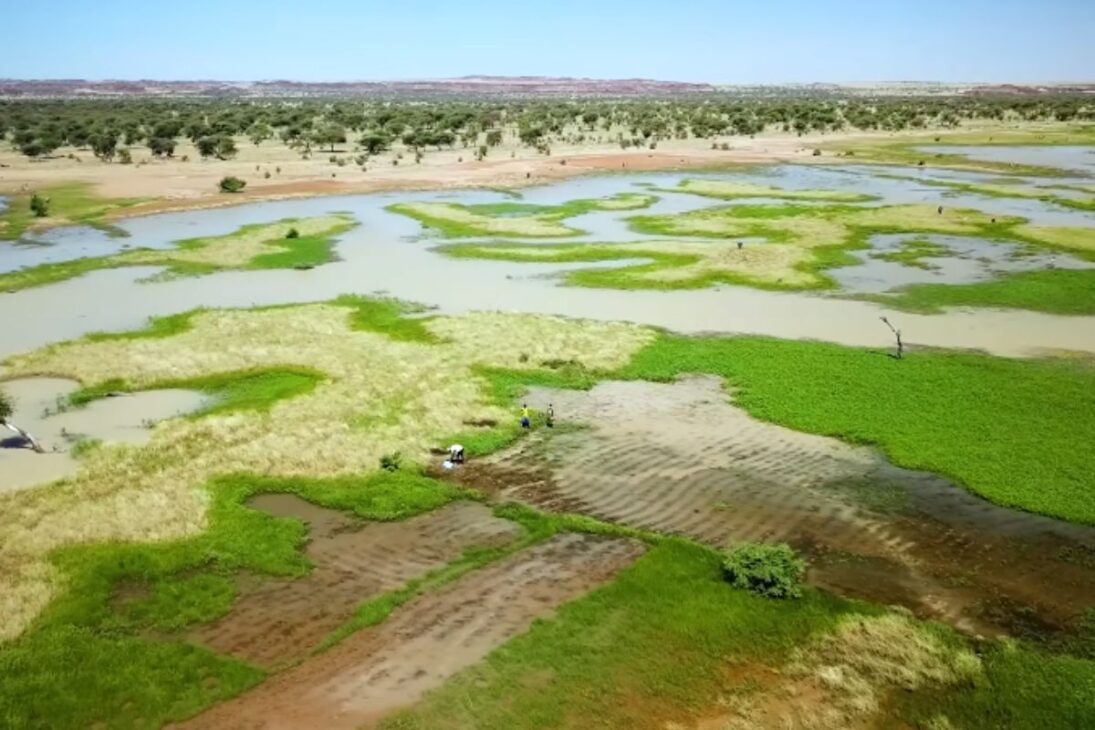 La ONU En Chad Crea Lagos Que Secan De Propósito Para Recargar Acuíferos, Transformar Desiertos De Chad Y Garantizar Seguridad Alimentaria.