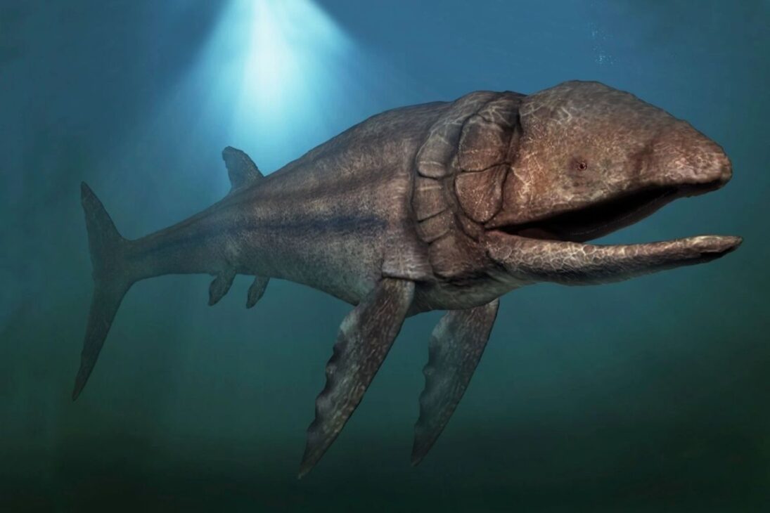 Leedsichthys en el Jurásico, el mayor pez óseo de la historia, aparece en fósiles de Europa y América del Sur y muestra cómo el plâncton sustentó gigantes y cambió la historia de los océanos.