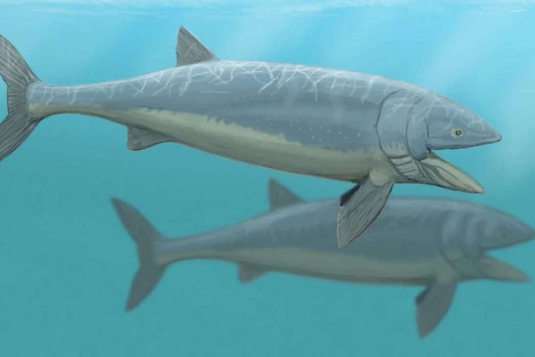 Leedsichthys en el Jurásico, el mayor pez óseo de la historia, aparece en fósiles de Europa y América del Sur y muestra cómo el plâncton sustentó gigantes y cambió la historia de los océanos.