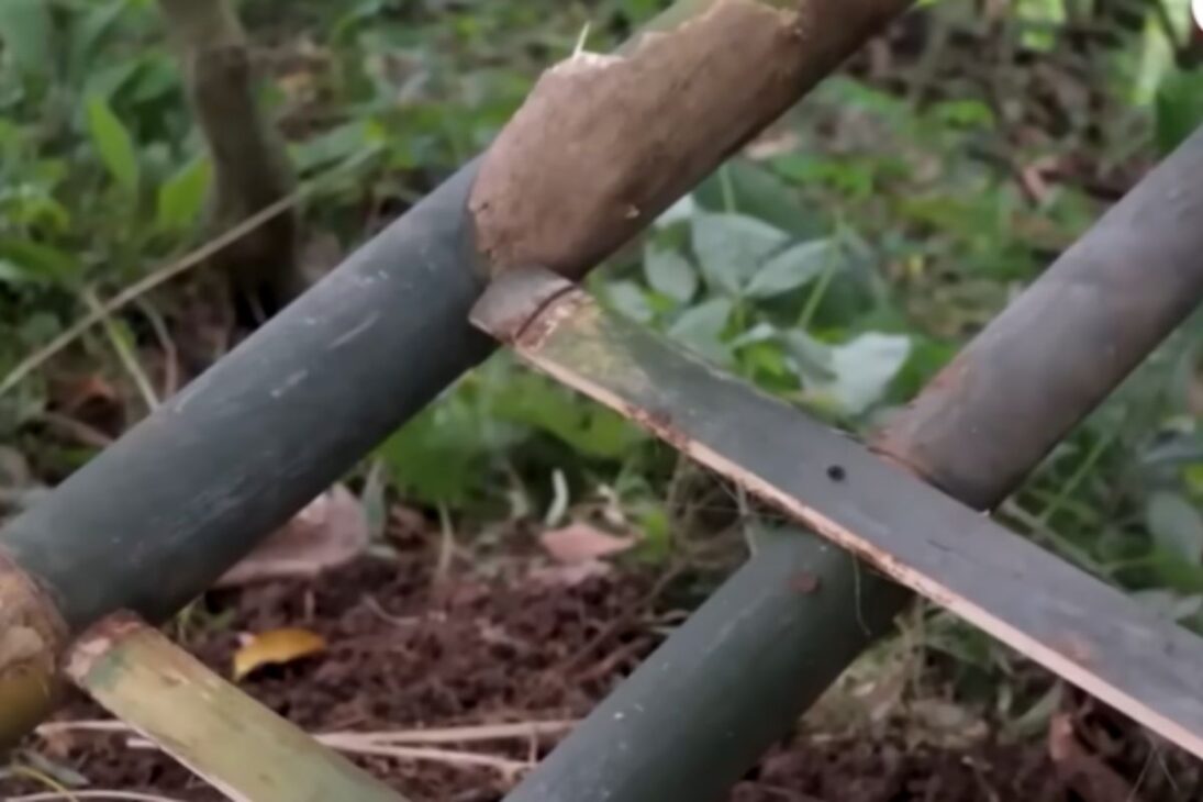 Padre e hijo construyen refugio off-grid solo con bambú, hojas y arcilla, levantan cabañas elevadas y hasta sobre el río, utilizan amarras sin clavos y techo que drena