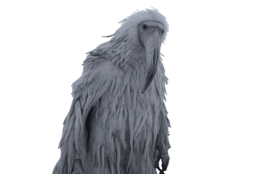 Pingüino solitario muestra un pingüino de Adelia real de Werner Herzog y se convierte en meme del pingüino que pregunta But why en internet.