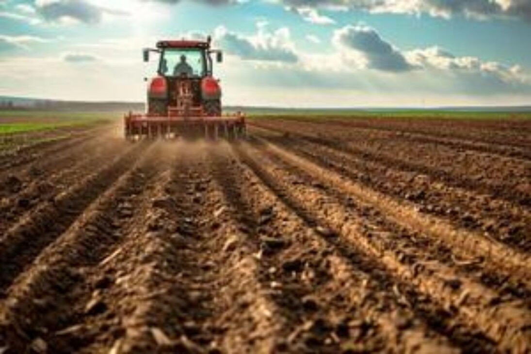 Veja como a armadura de palha no plantio direto protege o solo brasileiro, impulsiona a agricultura tropical e faz do Brasil uma potência agrícola.