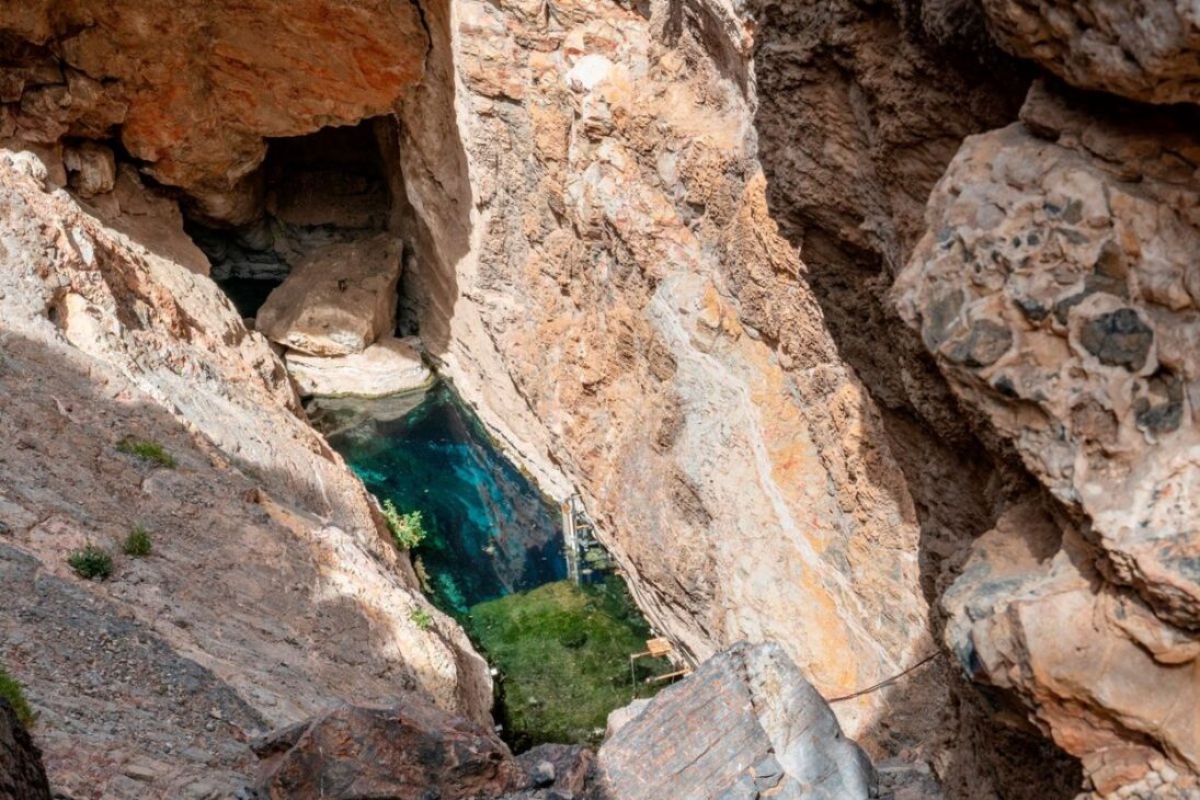 El pez más raro del mundo vive en el Hoyo del Diablo, en el desierto de Mojave, sobrevive con poco oxígeno disuelto y enfrenta un riesgo real de extinción