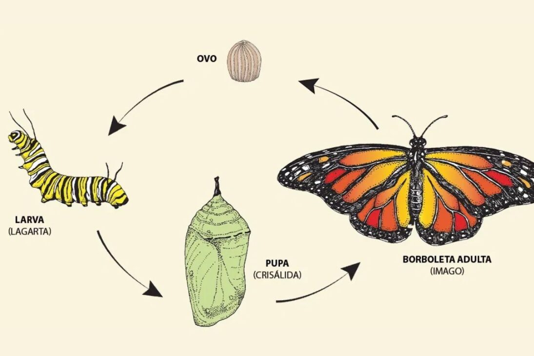 La oruga no siempre se convierte en mariposa: la metamorfosis puede ser interrumpida por virus, avispas y parásitos que reprograman el cuerpo, transforman la oruga en huésped zombi y cambian el destino del insecto.