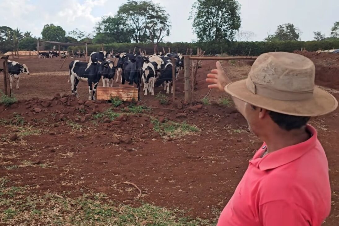 Productor rural de Patrocínio salió de las deudas, perdió el empleo, se convirtió en agricultor familiar, plantó café, amplió la producción de leche, hizo silo, apostó por la inseminación y ahora sostiene a la familia en el campo mineiro