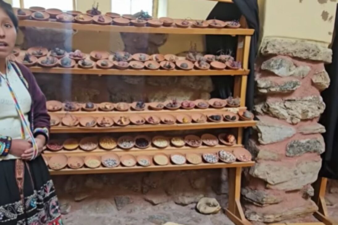 En el Parque de la Papa, comunidades indígenas andinas protegen miles de papas ancestrales y enfrentan la biopiratería por el futuro de los alimentos.