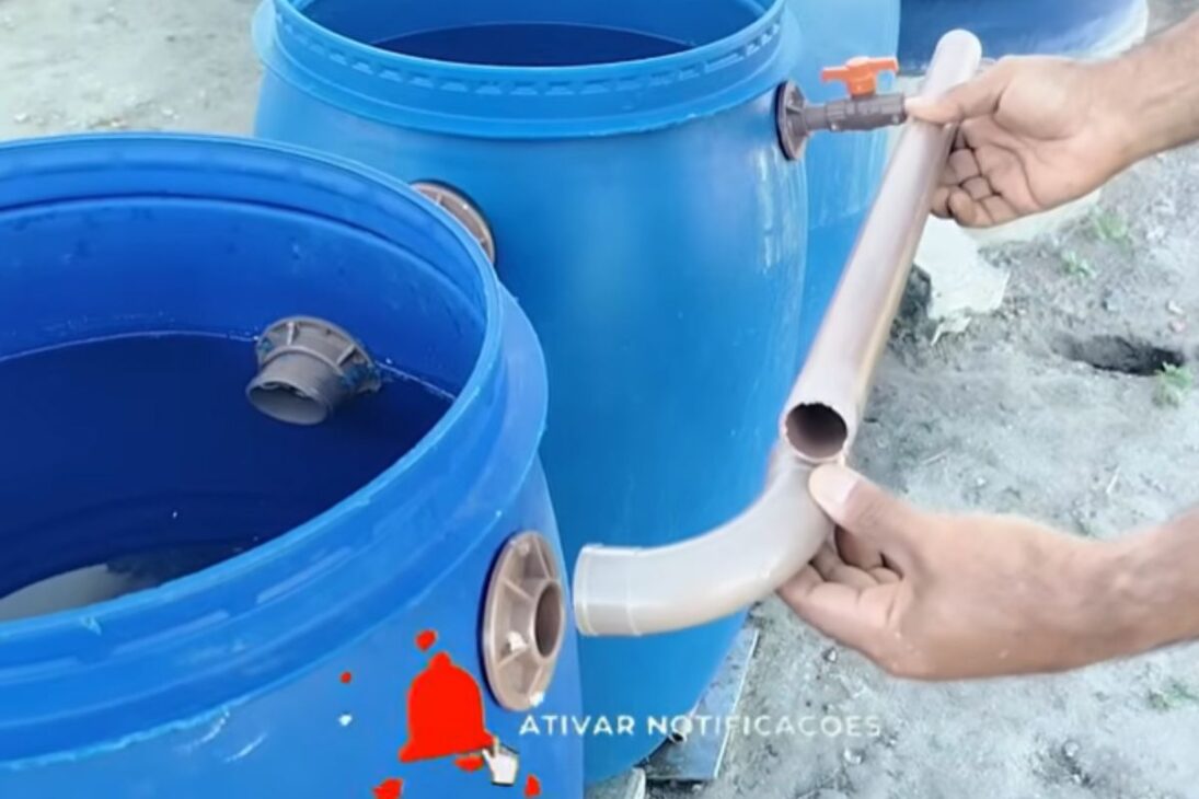 Aprenda a criar peixes em caixa d’água 1000 litros com sistema de criação de peixes, filtro biológico eficiente e aquaponia no quintal.