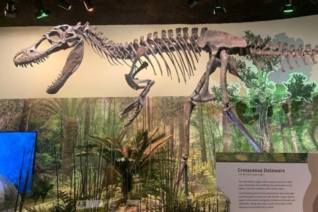 Además del T. Rex, el Dryptosaurus dominó los Apalaches, separado de Laramidia, como miembro de los tyrannosauroidia al final del Cretácico.