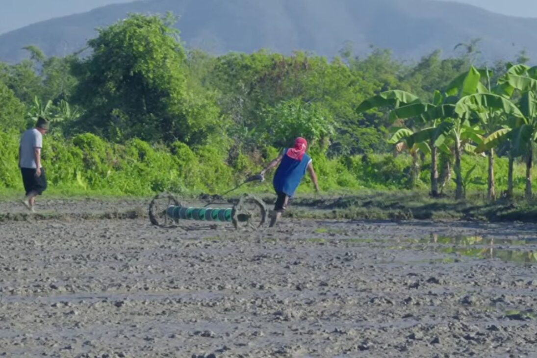 Finca en Tailandia Supera la Agricultura Convencional al Regenerar el Suelo, Retener Toda el Agua de la Lluvia y Usar Biomasa para Producir Más Comida, Reducir Costos y Enfrentar Sequías Extremas con Eficiencia Comprobada.