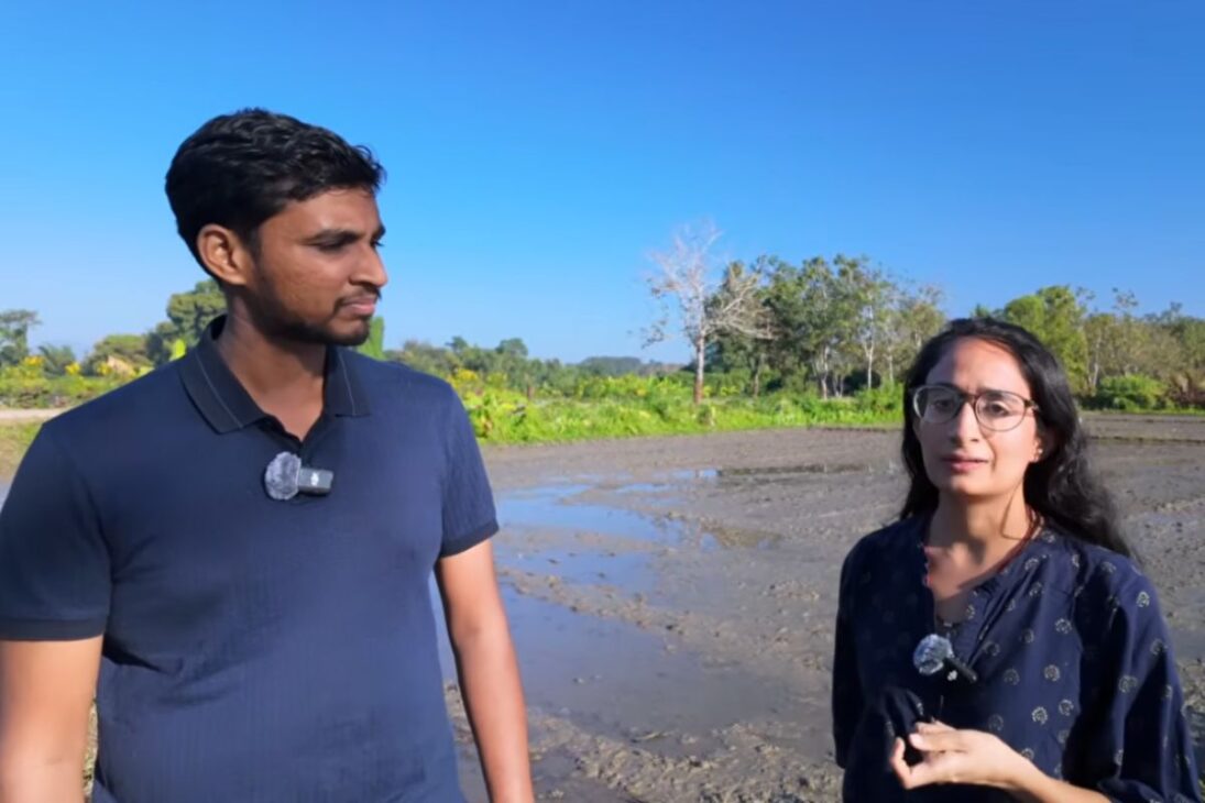 Finca en Tailandia Supera la Agricultura Convencional al Regenerar el Suelo, Retener Toda el Agua de la Lluvia y Usar Biomasa para Producir Más Comida, Reducir Costos y Enfrentar Sequías Extremas con Eficiencia Comprobada.