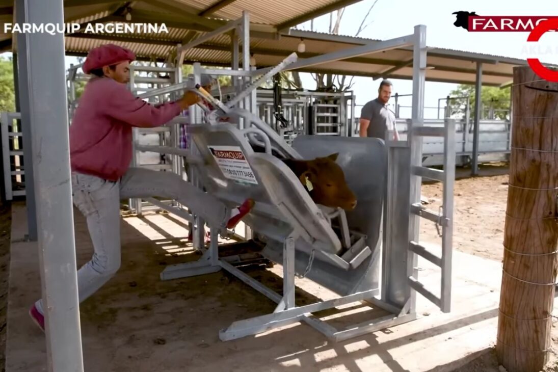 los agricultores ven máquina en la ganadería reducir esfuerzo y estrés, con sistema hidráulico para cascos, cargador de ovejas por aire comprimido, túnel Spray-Race, ordeña en filas y robots de heno y captura.
