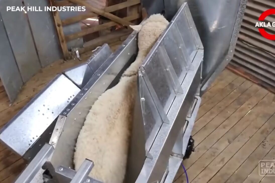 los agricultores ven máquina en la ganadería reducir esfuerzo y estrés, con sistema hidráulico para cascos, cargador de ovejas por aire comprimido, túnel Spray-Race, ordeña en filas y robots de heno y captura.