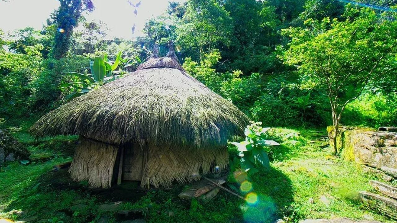 Descubre la Ciudad Perdida de Colombia, un centro ancestral más antiguo que Machu Picchu. Ve lo que los arqueólogos revelaron sobre Teyuna, su historia, arquitectura y cómo visitar este sitio sagrado escondido en la selva.