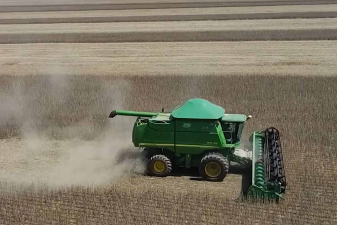 Tocantins crece por encima de la media en el agro; producción de granos, ganadería e irrigación cobran fuerza y el estado se convierte en un destacado en el Arco Norte.