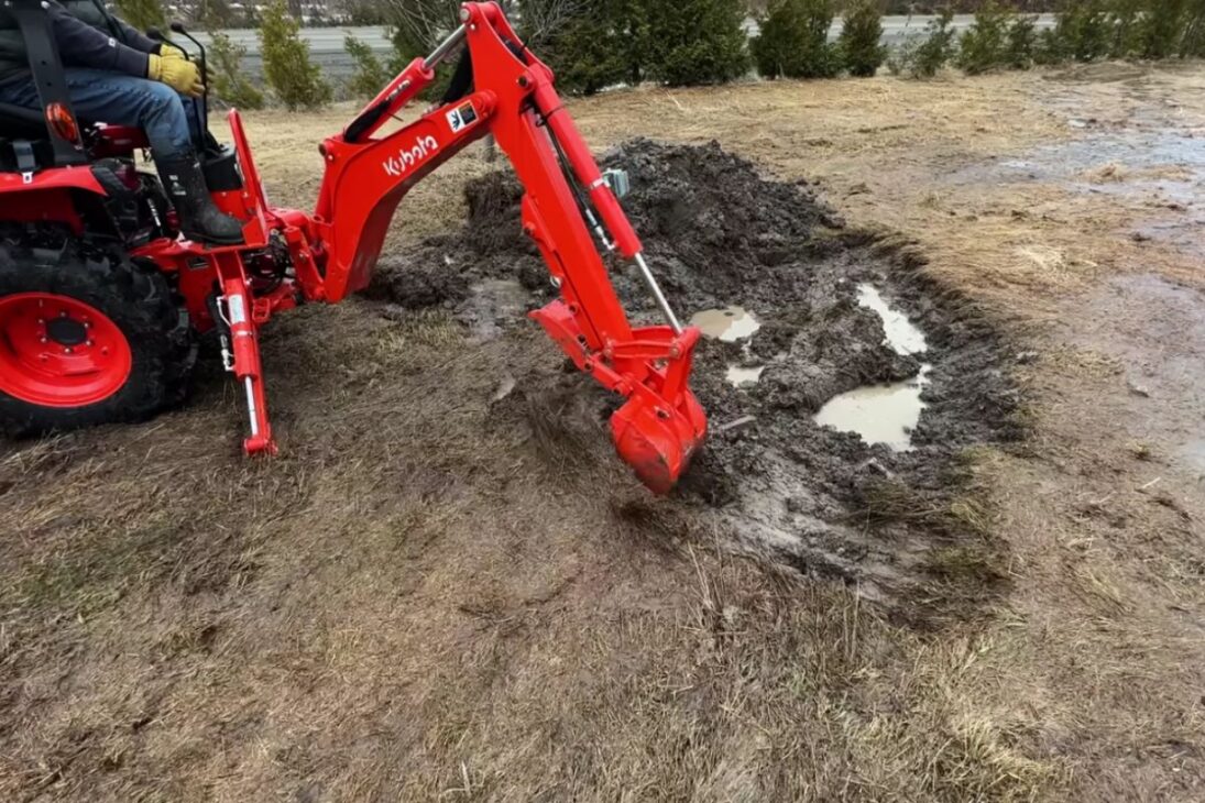 el lago de 0,6 m se convierte en charco estacional para anfibios; la rana de madera deposita huevos y las golondrinas usan barro para nidos.