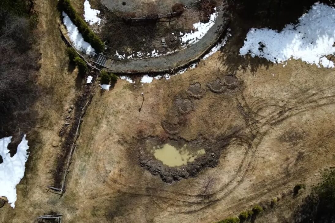 el lago de 0,6 m se convierte en charco estacional para anfibios; la rana de madera deposita huevos y las golondrinas usan barro para nidos.