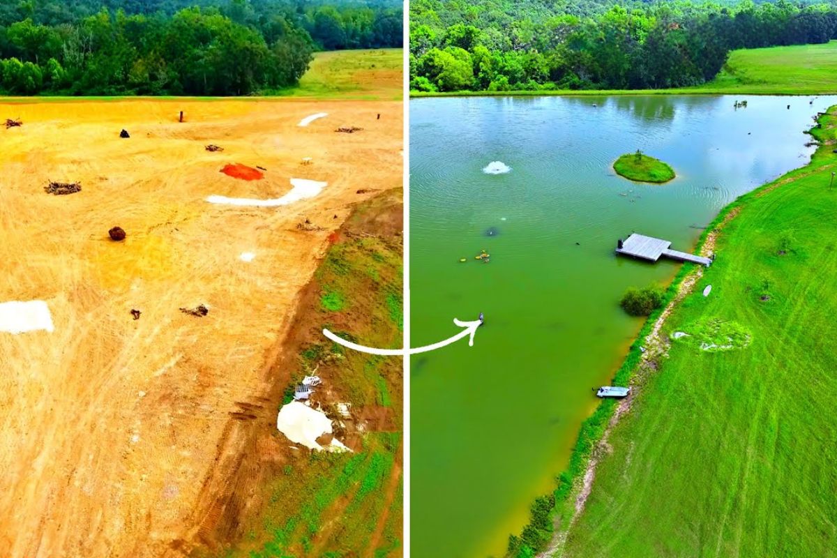 lago de 5 acres vira eixo de vida selvagem com águia-careca e veados, enquanto o robalo-tigre e a oferta de alimento mudam o manejo, a observação e a lógica do habitat na fazenda.