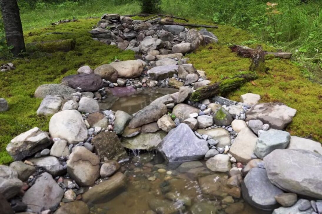 lago de banho de pájaros con cascada y bomba sufre con tormentas y apagones, vacía piscinas en el pozo y puede desbordar al valo; zorros, mapaches, mofetas y pavos utilizan el agua y remueven musgo bajo cámaras.