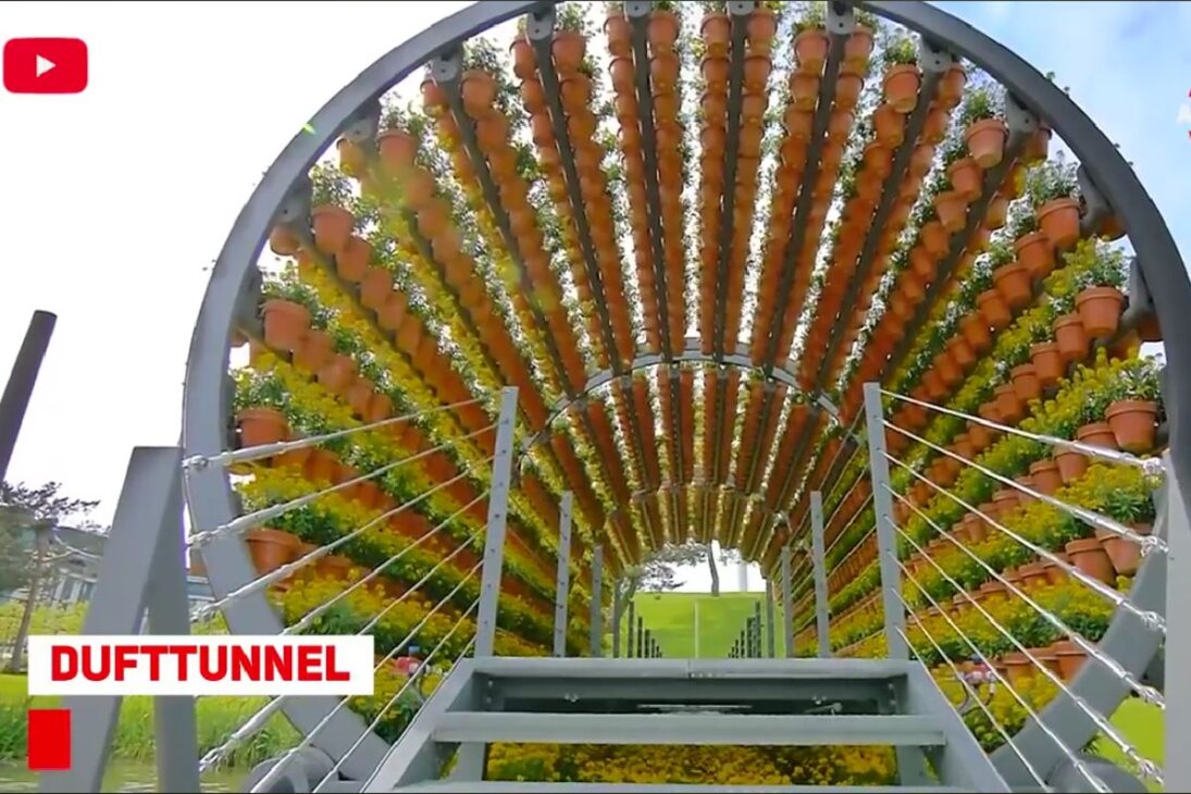 Método Poco Conocido Revela Cómo La Automatización Y Las Máquinas Reorganizan El Campo, Integrando Hidropónico Y Ordeño En Módulos Prácticos Que Cambian Rutinas Y Reducen Etapas En Las Granjas.