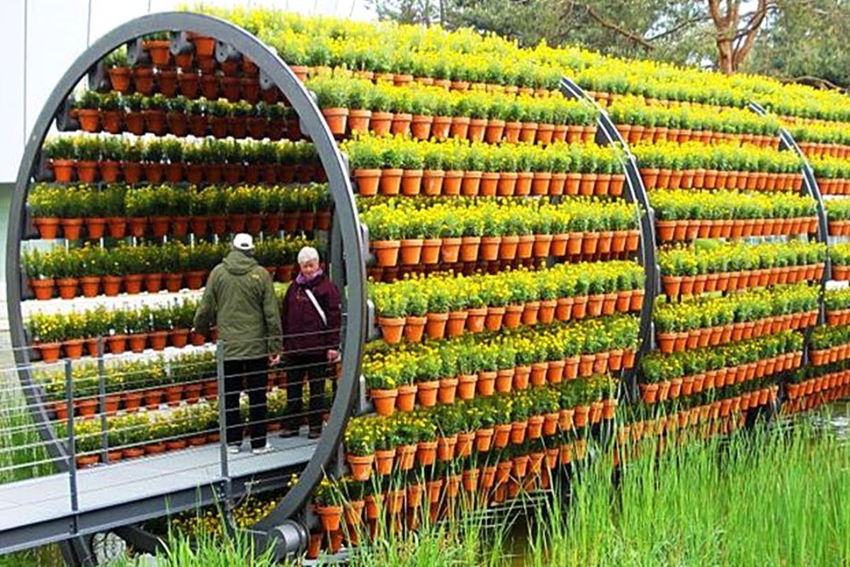 método pouco conhecido revela como automação e máquinas reorganizam o campo, integrando hidropônico e ordenha em módulos práticos que mudam rotinas e reduzem etapas nas fazendas.