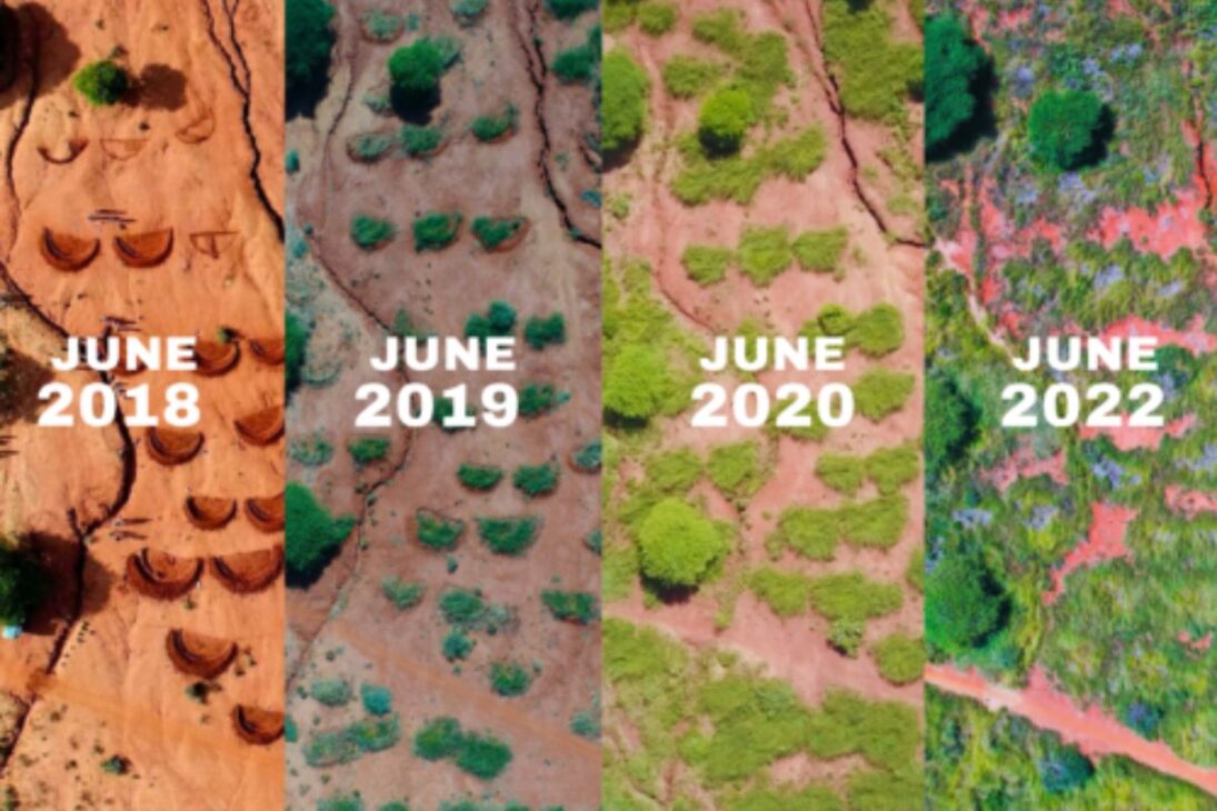 el bosque crece sin que se plante un solo árbol en Tanzania al reactivar raíces subterráneas con Kisiki Hai y FMNR, estrategia citada en el relato para reducir fallas en la siembra y enfrentar la desertificación en las tierras secas.