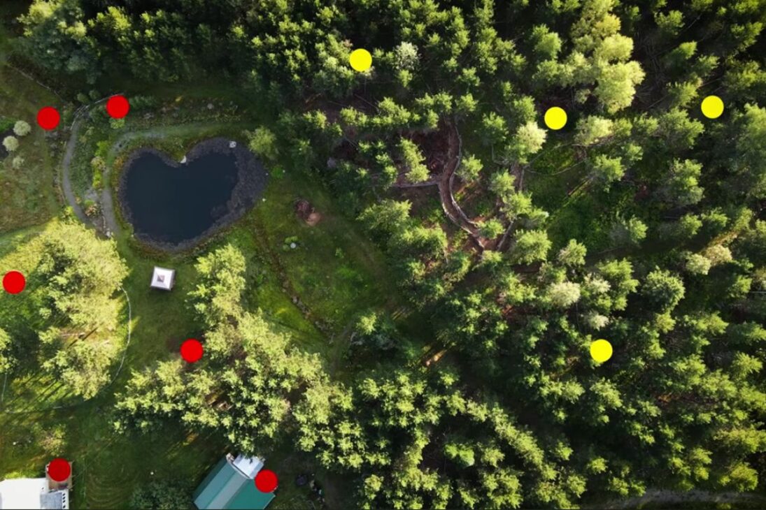 El estanque temporal transforma la reserva de vida salvaje al concentrar plantas nativas y aves nidificantes, redefinindo caza, nidos y equilibrio ecológico local.