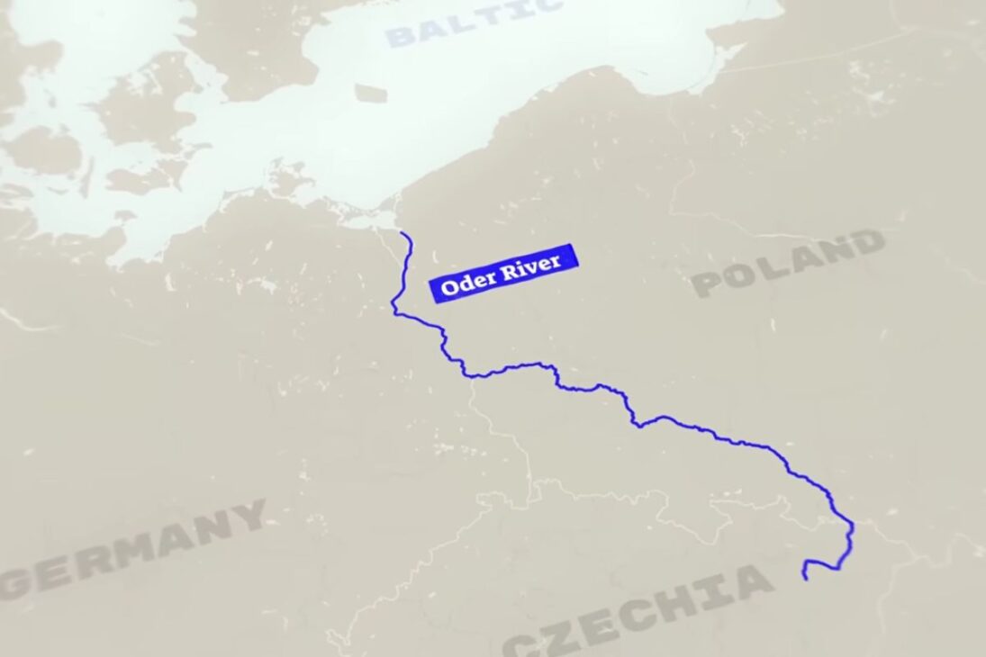 El Río Oder Se Recupera Tras El Desastre: La Contaminación Mató Peces, Pero La Grava Y La Restauración Fluvial Crean Guarderías Y Devolven Vida Al Río.