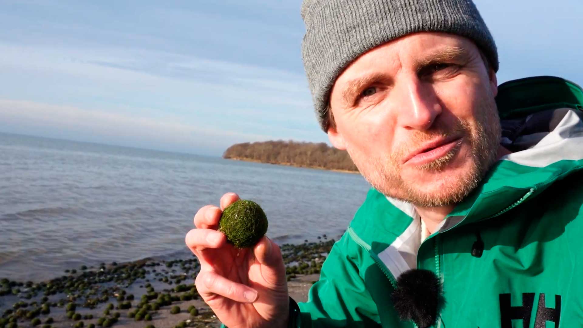 Visitantes se assustam com chão coberto por bolas verdes em praia, vídeo explode nas redes, mas a ciência revela como ondas e algas criam essas esferas perfeitas