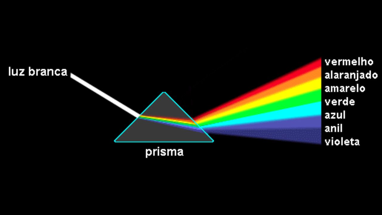 El violeta es considerado el color más raro en la naturaleza. Entienda por qué este tono es tan difícil de producir y conozca plantas que exhiben la tonalidad.