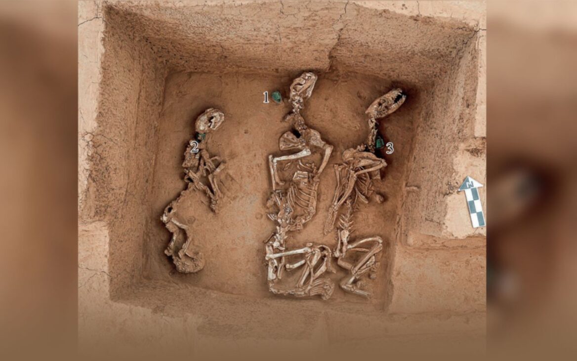 Antiguo “zoológico” de 3 mil años encontrado en China revela que las élites mantenían animales salvajes vivos para rituales.