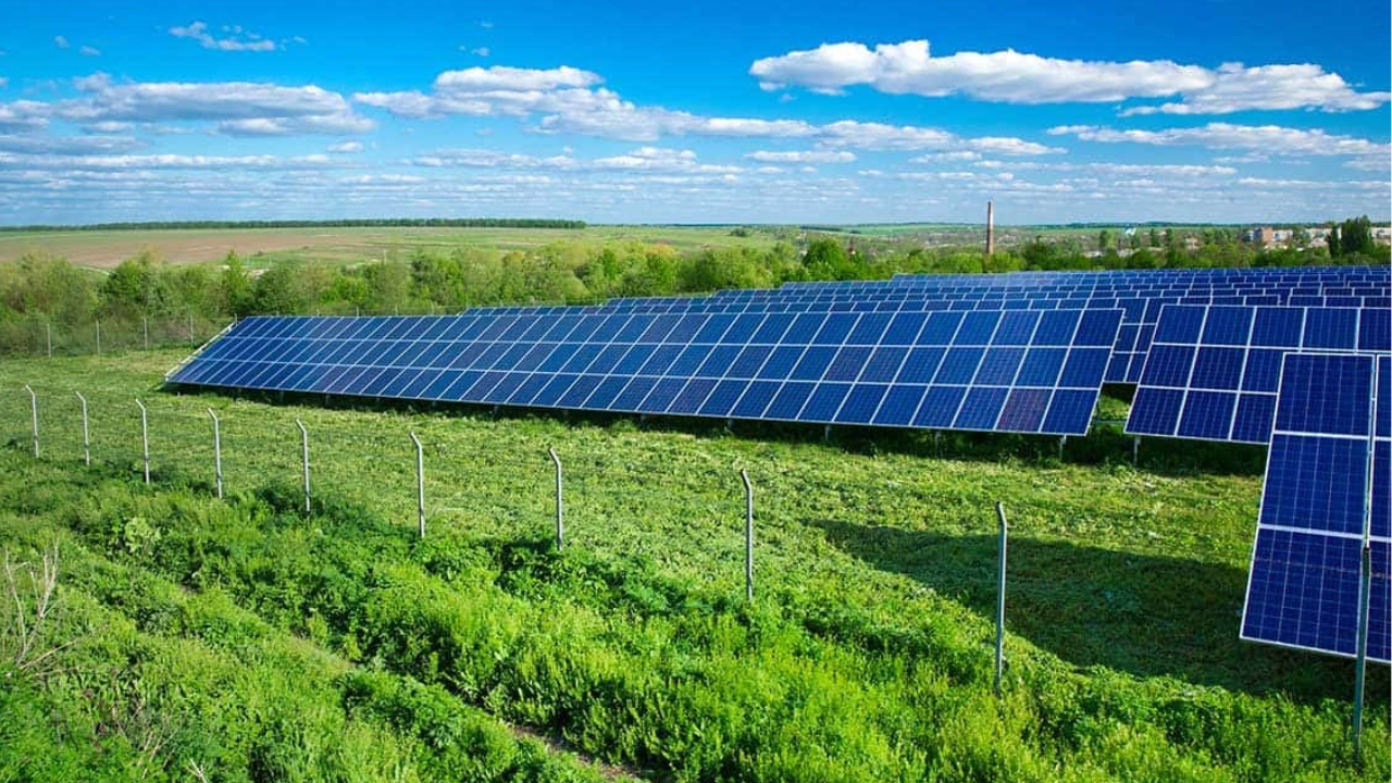 O avanço da energia limpa no campo impulsiona a geração distribuída, reduz custos para produtores rurais e amplia a segurança energética, com retorno financeiro em até cinco anos.