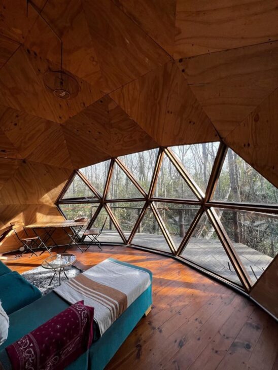 Casa esférica, Casa, Árbol