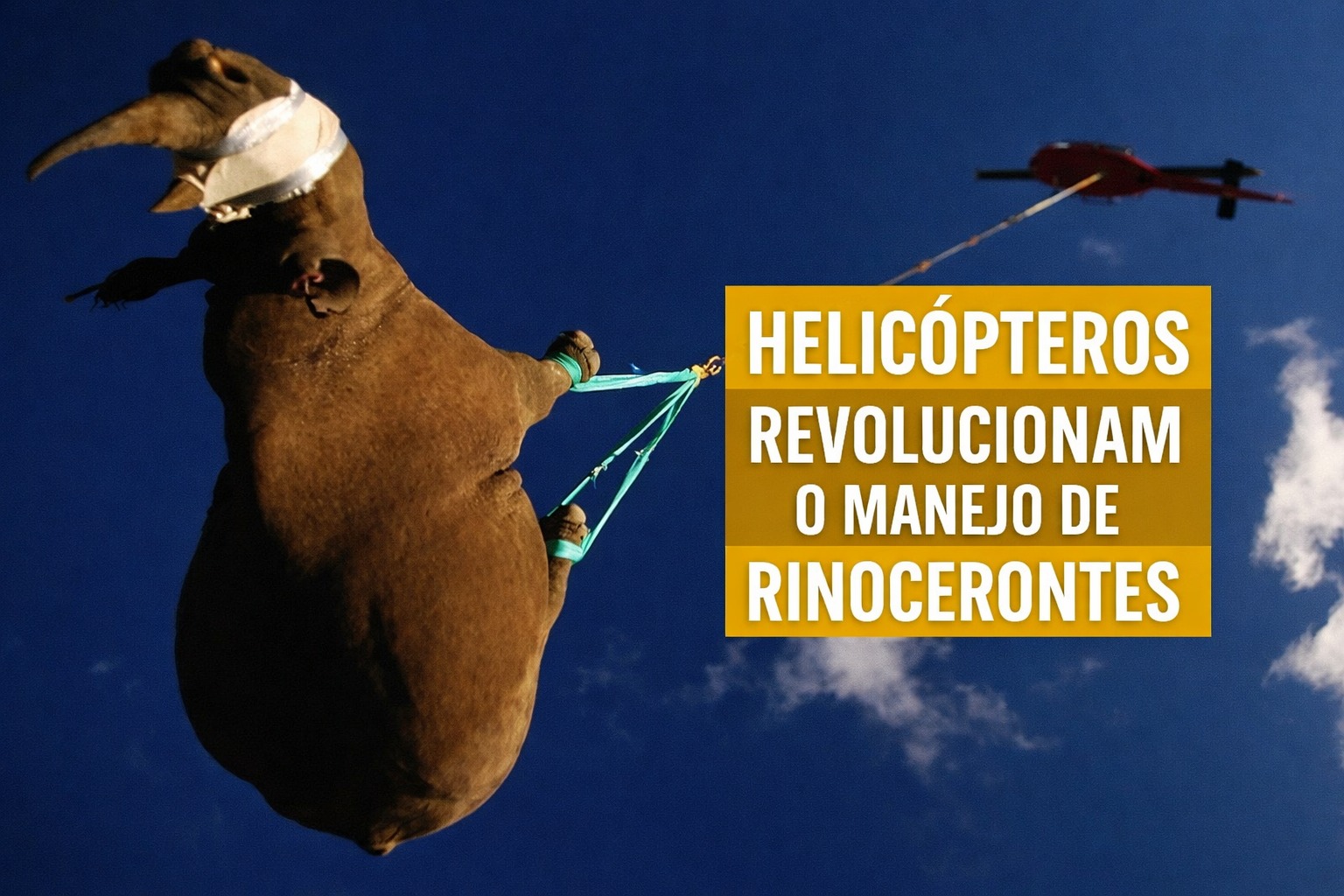 Rinocerontes, Helicópteros