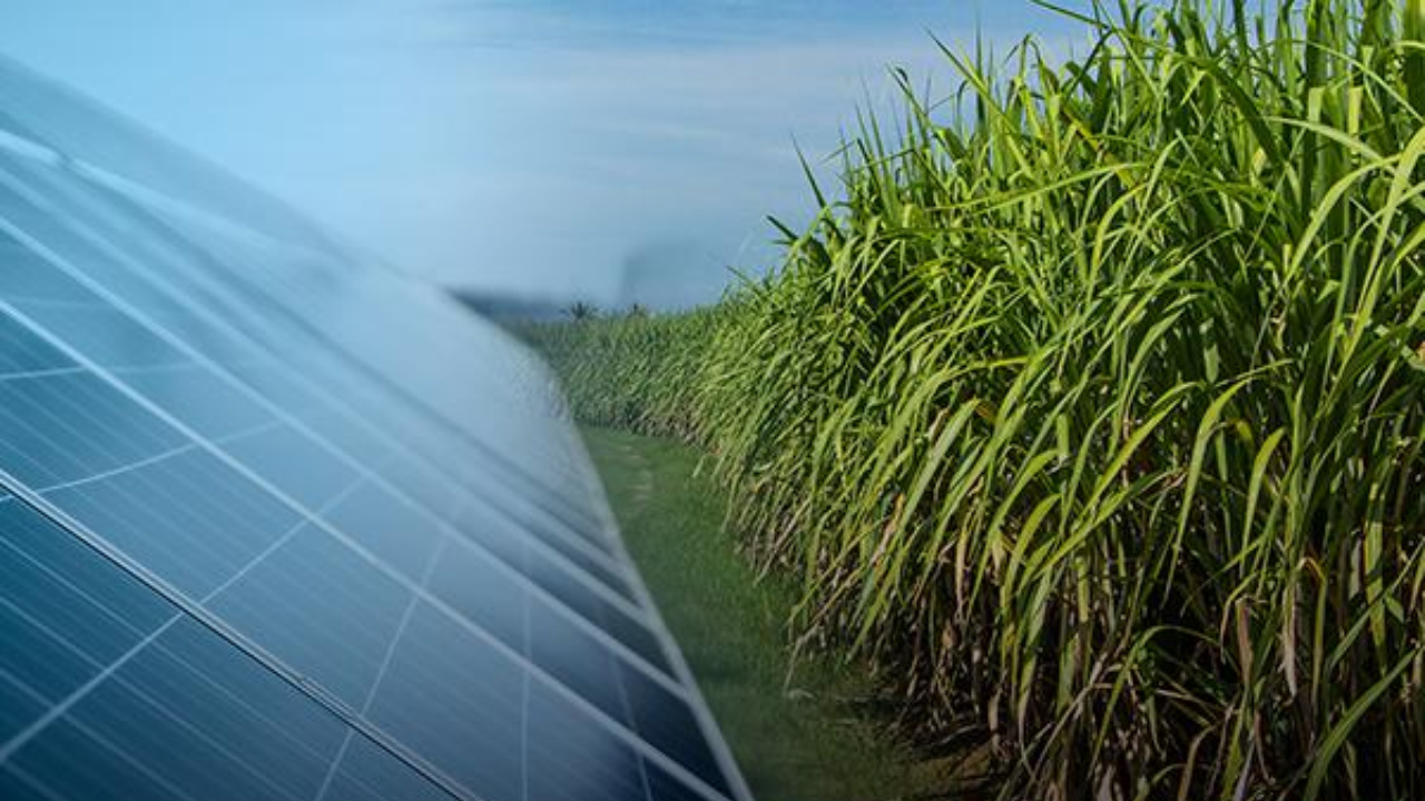 Tecnologia desenvolvida na UFPB utiliza cinzas do bagaço da cana-de-açúcar em aplicações para energia solar, conquista patente do INPI e abre espaço para novos negócios em energias renováveis no Brasil.