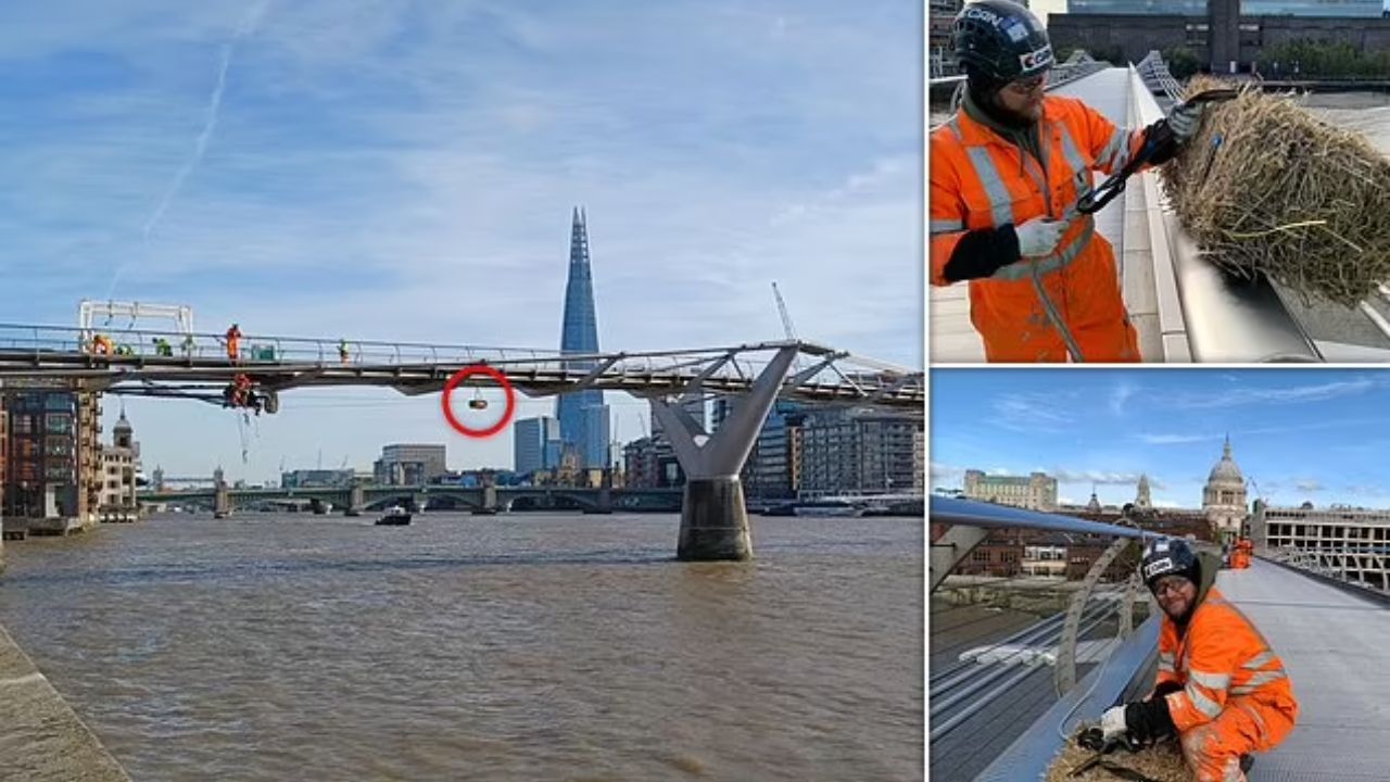 Pilas de paja colgadas en los puentes del río Támesis siguen una regla secular de seguridad fluvial que todavía influye en Londres.