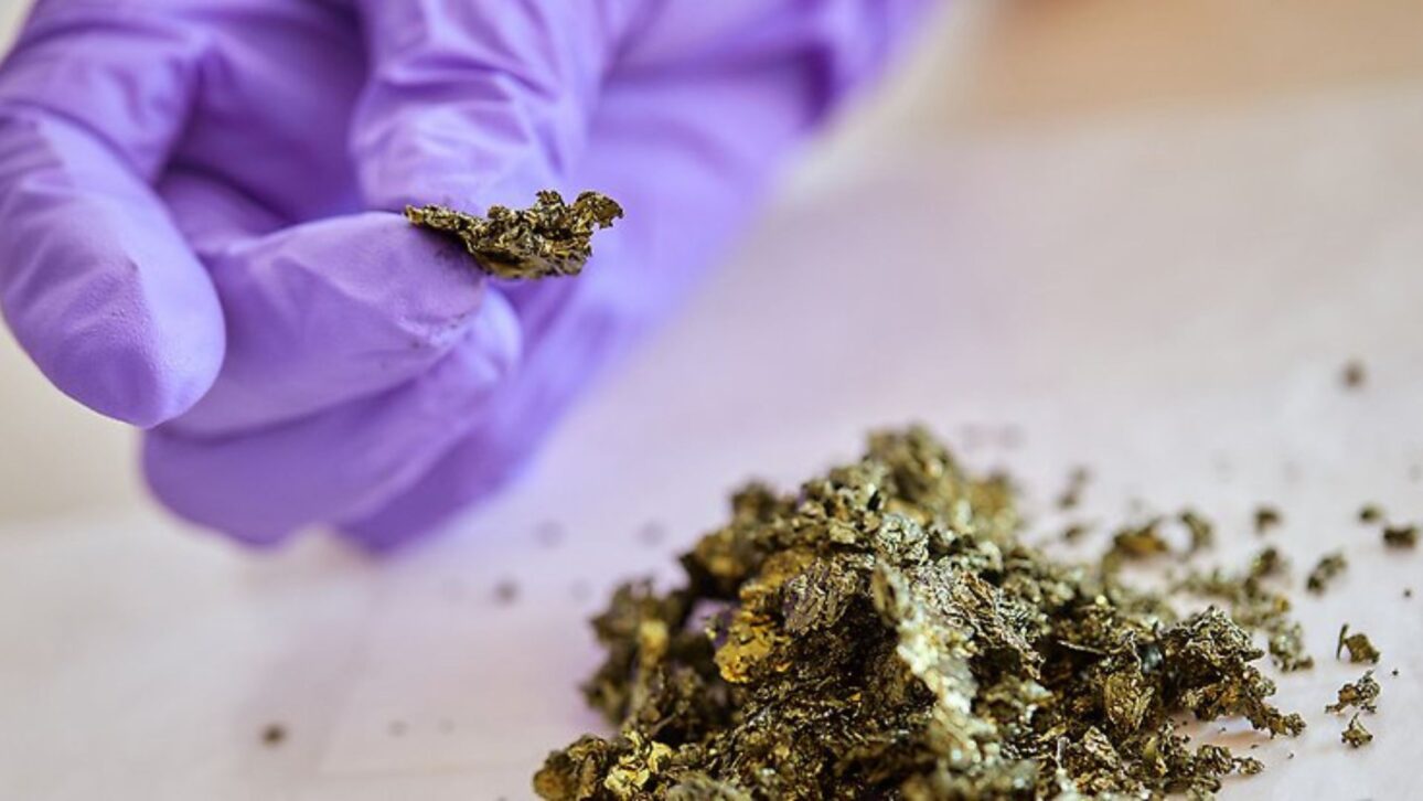 Muestra sólida de platina siendo manipulada con guante en un entorno de laboratorio, ilustrando el uso de metales raros en investigaciones científicas