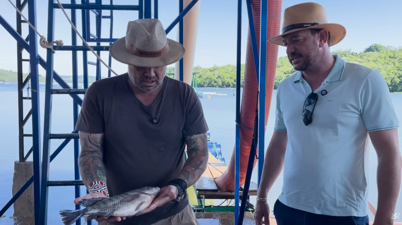 Megaoperación de tilapia en Paraná procesa 14,5 toneladas por día, utiliza 20 mil kg de alimento y exporta filete fresco a EE. UU. en 48 horas.