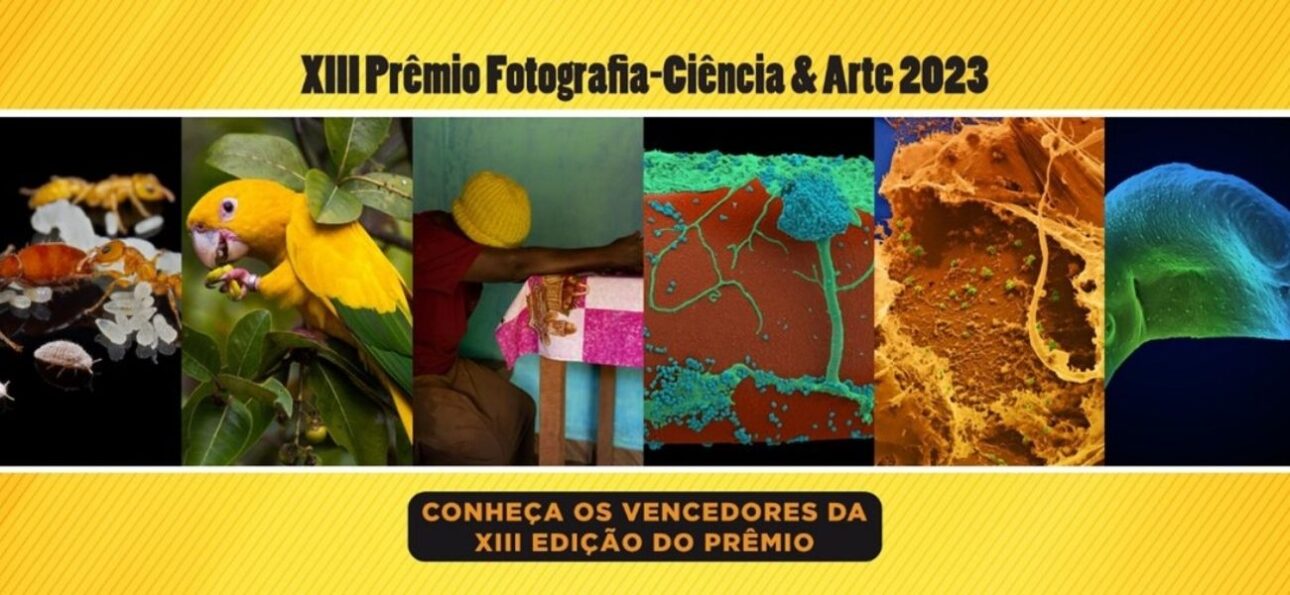 Concurso nacional do CNPq premia a melhor foto científica com até R$ 15 mil e incentiva inovação, ciência e arte no Brasil.