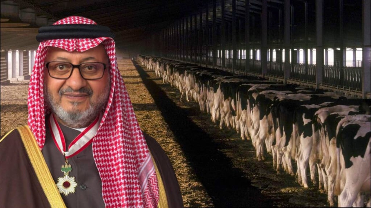 Com mais de 200 mil vacas leiteiras, produção diária acima de 3,5 milhões de litros e fábricas que operam como uma cidade própria, este complexo se tornou a maior fazenda integrada já construída no mundo