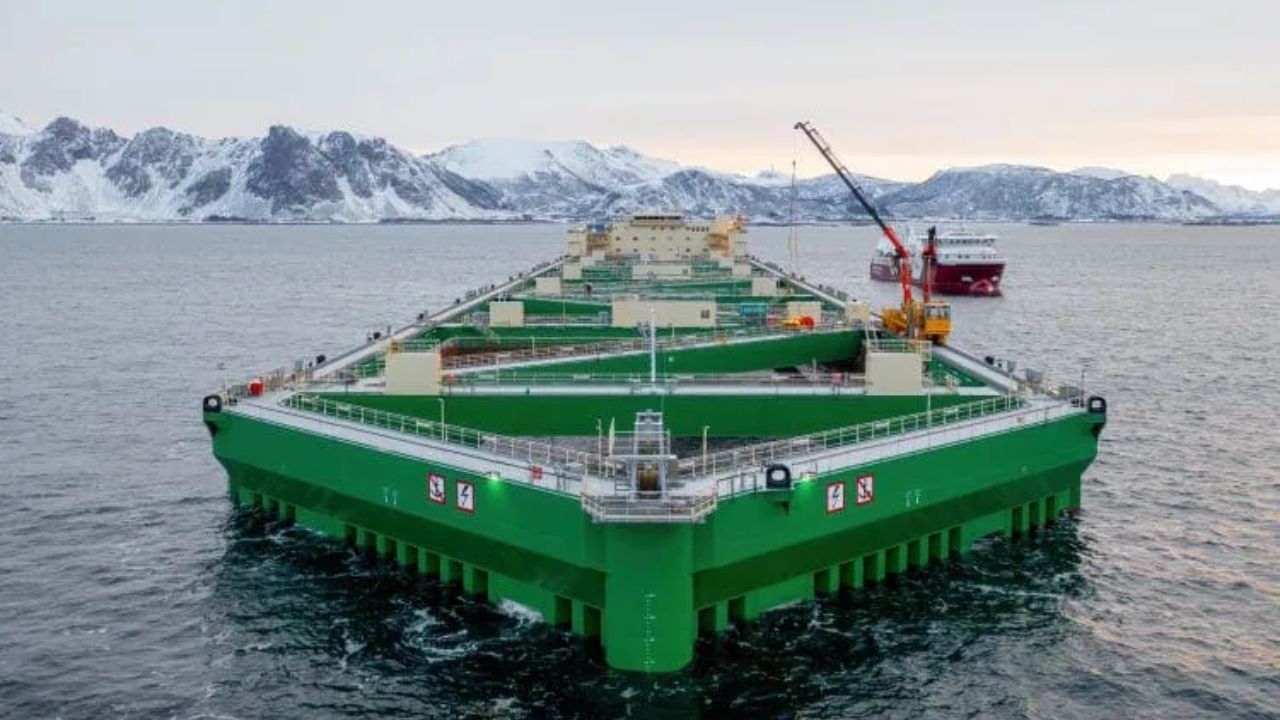 La granja oceánica, una estructura de 385 metros instalada en alta mar produce hasta 10 mil toneladas de salmón por ciclo y marca un cambio en la acuicultura global.