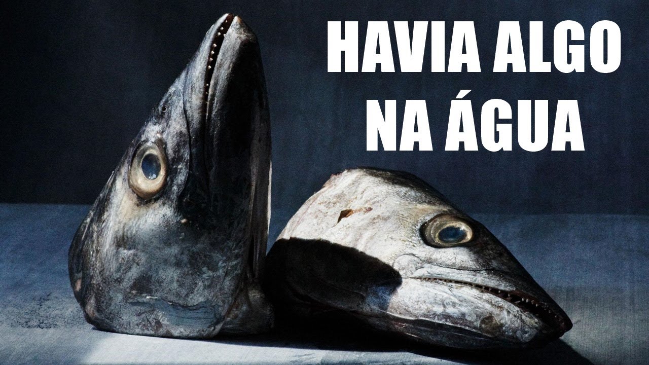 O rio japonês onde mais de 30 anos de despejo industrial de mercúrio envenenaram populações inteiras e deram origem a uma das maiores tragédias de contaminação humana da história moderna