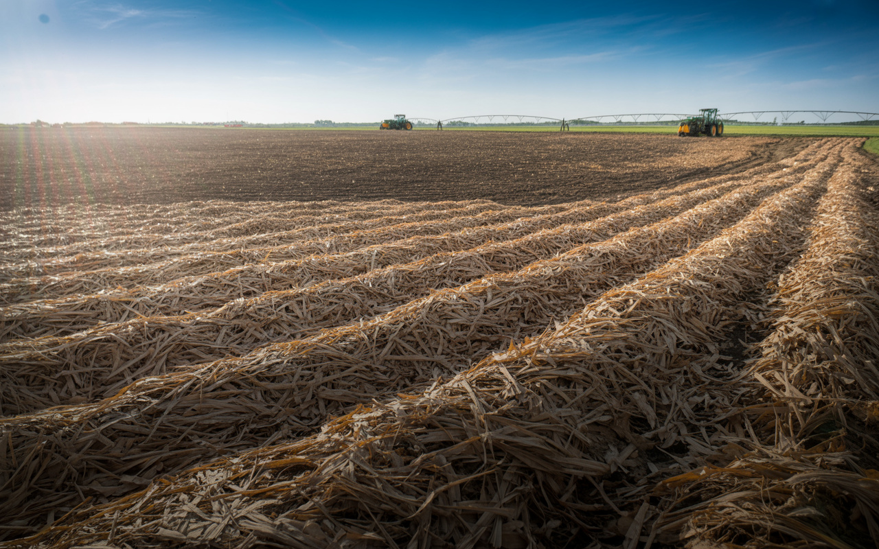 Países espalham milhões de toneladas de resíduos da cana-de-açúcar no solo, reduzem a evaporação em até 40%, abaixam a temperatura em até 6 °C e cortam mais de 25% do uso de água na agricultura