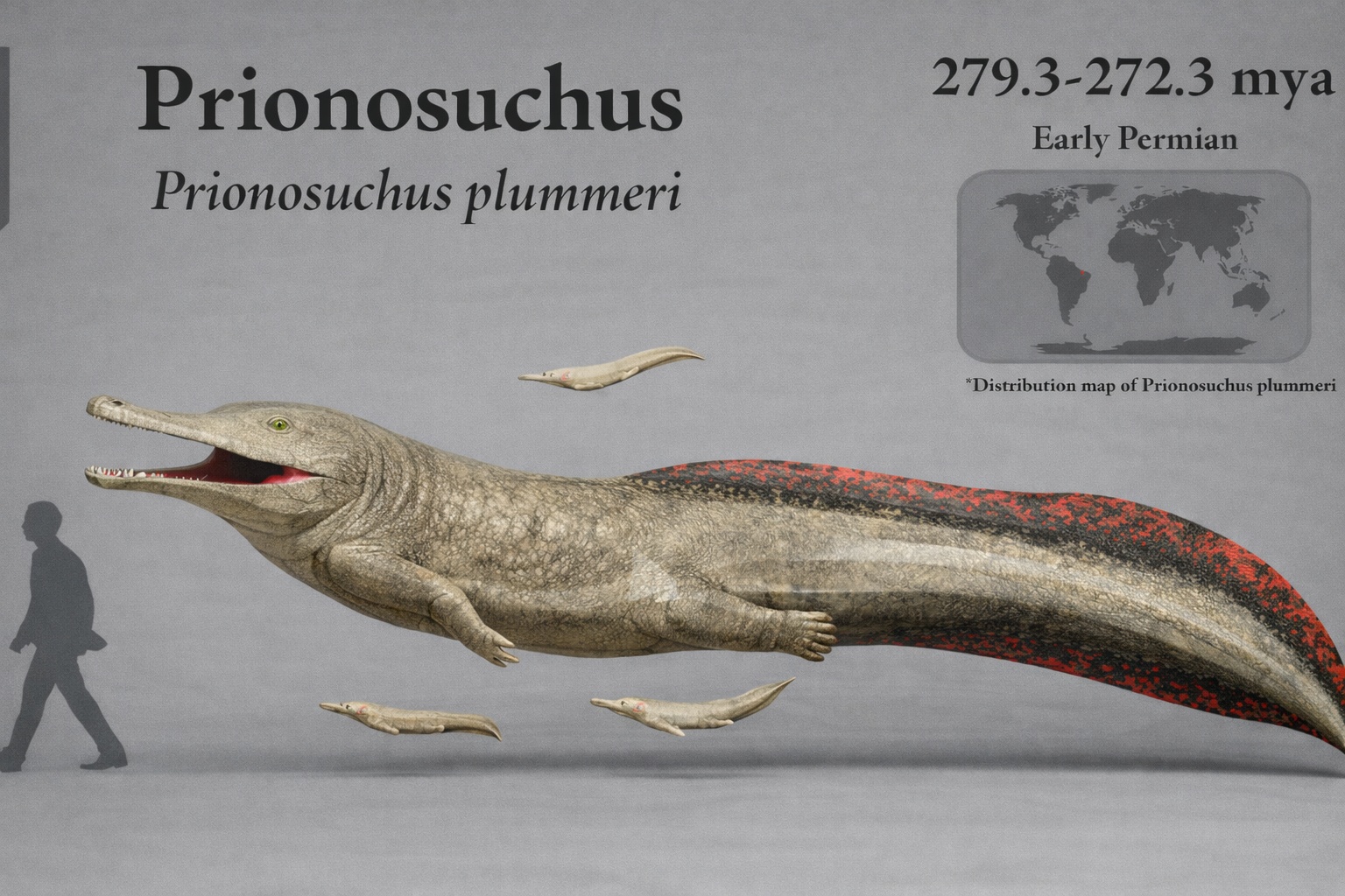 Maior que muitos crocodilos modernos, com até 6 metros de comprimento e predador no Brasil pré-histórico, o Prionosuchus plummeri foi o maior anfíbio terrestre já documentado pela ciência