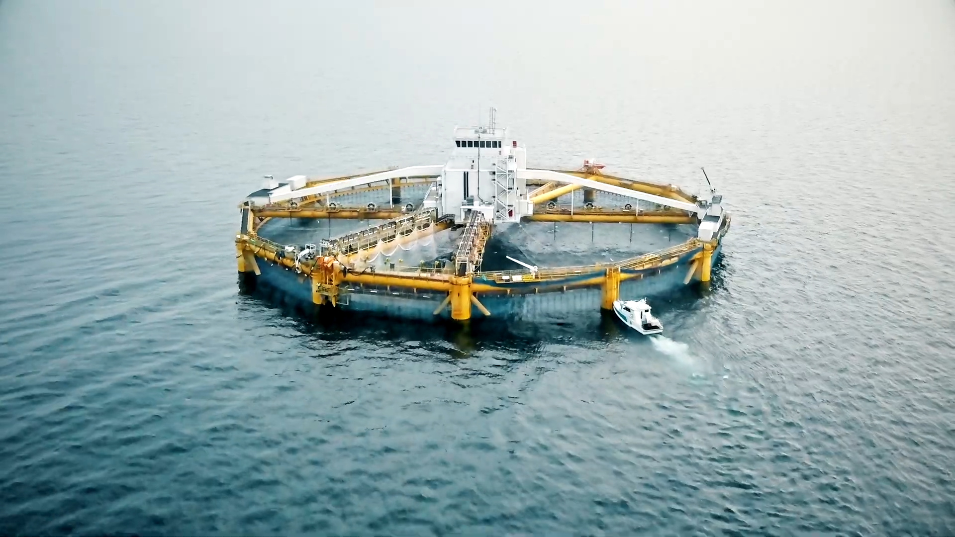 Com estrutura oceânica de aço de mais de 100 metros de diâmetro, volume superior a 250 mil m³ e produção anual de milhares de toneladas de salmão, esta fazenda norueguesa levou a pecuária para o mar aberto e inaugurou a era da aquicultura offshore