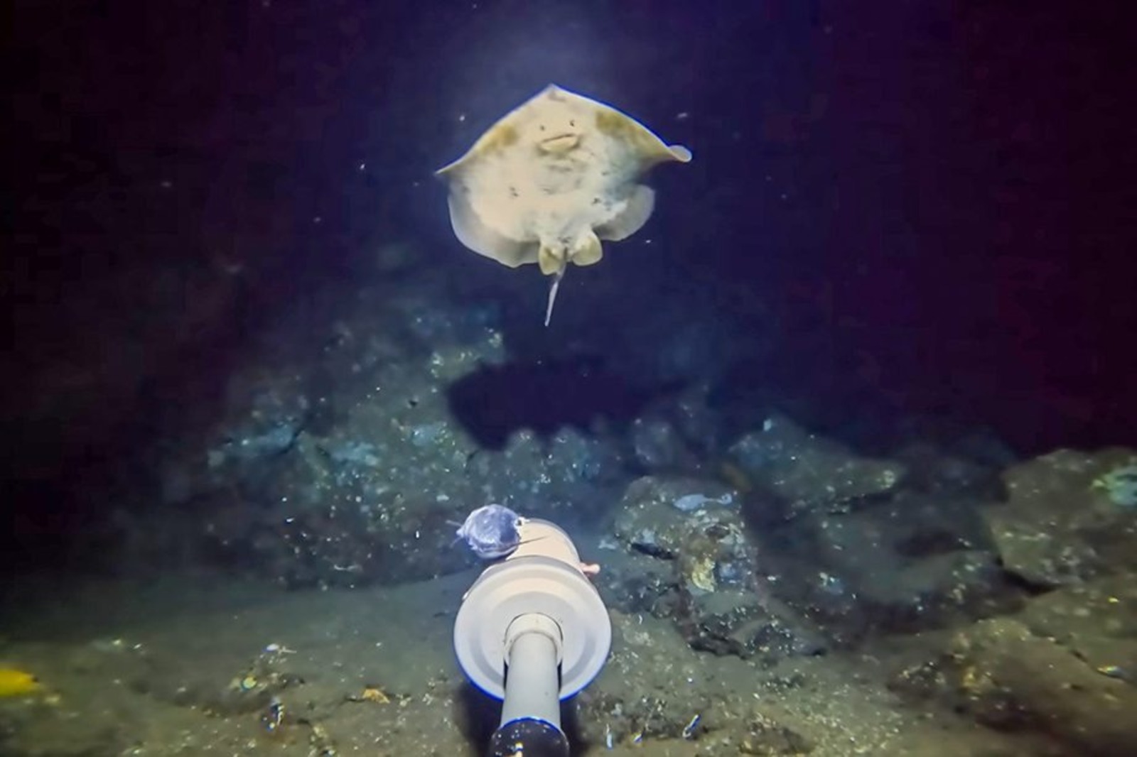 Youtuber, Câmera, Profundezas