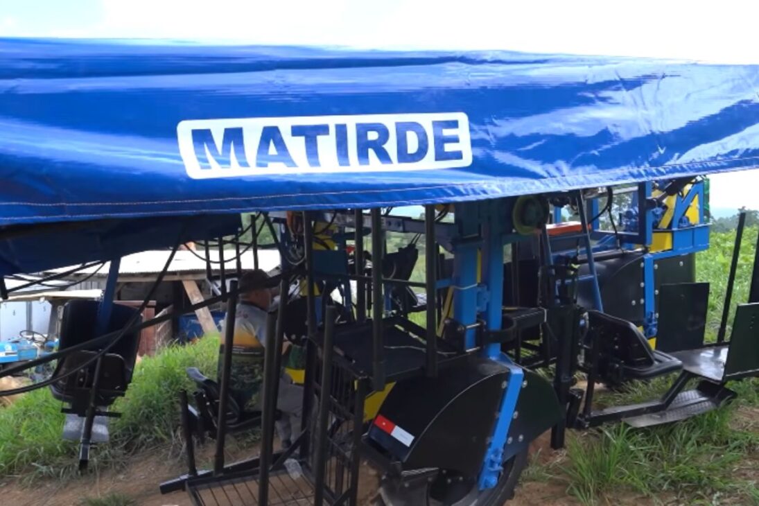 Agricultor Transforma Tobata en Colhedora y Crea Máquina de Cosechar Tabaco, Colhedora de Tabaco e Industria Familiar en la Cosecha de Tabaco.