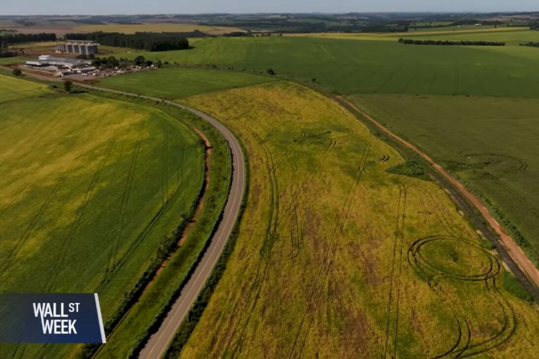 En Nueva Zelanda, el fin de los subsidios agrícolas expuso al sector al mercado, redujo el número de ovejas y elevó la productividad, creando un modelo de referencia global para reorganizar la relación entre Estado y campo.