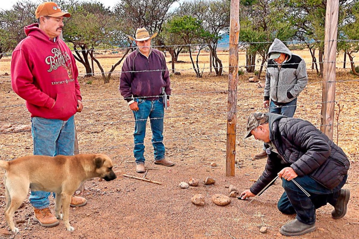 Em Durango, a busca por água usa formigueiros como referência: varillas e pêndulo orientam marcações que questionam por que um poço de 100 metros falhou e se aprofundar pode mudar o resultado.