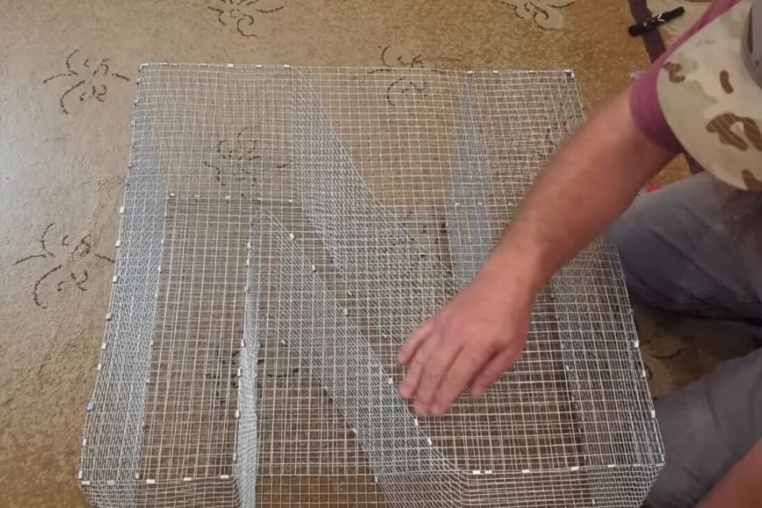 Trampa en Z Casera Transforma la Captura de Cebos en Rutina Estable en el Lago, Ayudando a Pescadores a Reunir Bagres y Sargos con Eficiencia, Explicando Montaje, Pruebas Comparativas y Cuidados en Uso en Aguas Dulces.